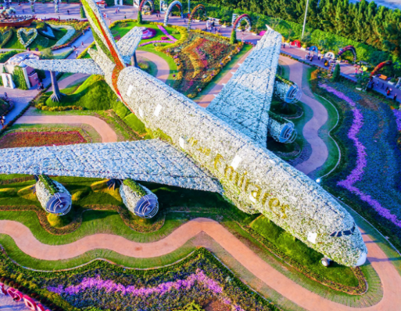 MIRACLE GARDEN